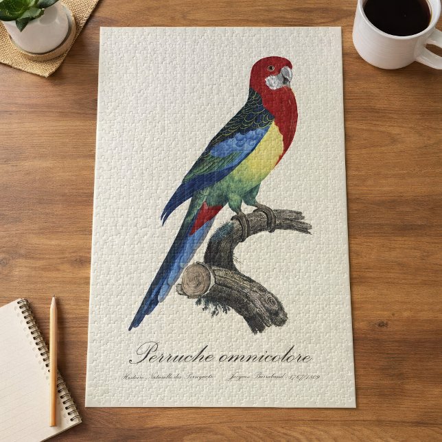 Perruche omnicolore / Eastern rosella (Eastern rosella or Platycercus eximius parakeet. Jigsaw Puzzle)