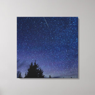 Perseid Meteor Shower Leinwanddruck