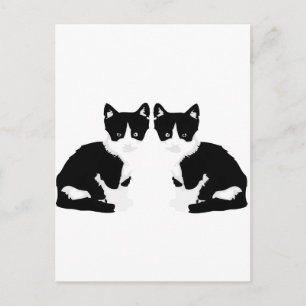 persephone&hades 'tuxedo cat' postkarte