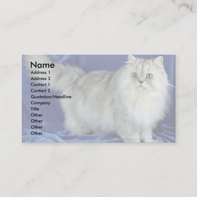 Perser, Zinn Visitenkarte (Vorderseite)