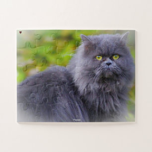 Perserkatze
