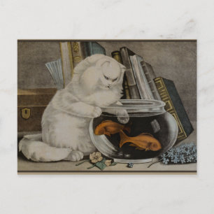 Perserkatze angelt postkarte