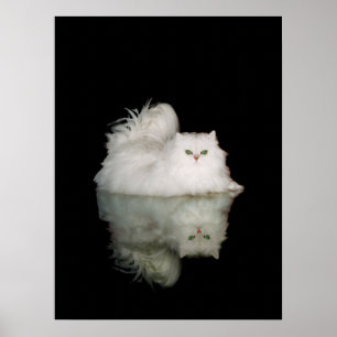 Perserkatze mit jadegrünen Augen Poster