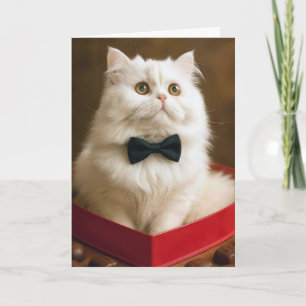 Perserkatze zum Valentinstag in einer Schokoladen- Karte
