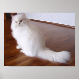 Perserkatzenposter Poster
