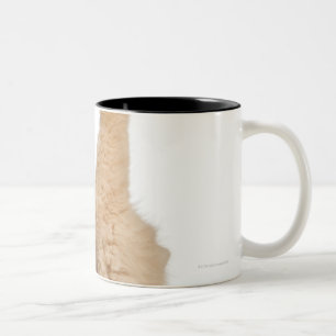 Perserspielen (3 Jahre alt) Zweifarbige Tasse