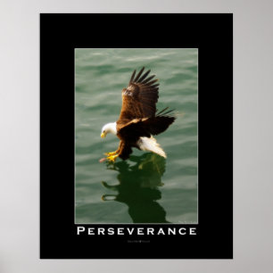 PERSÉVÉRANCE Aigle chauve Poster d'art motivationn