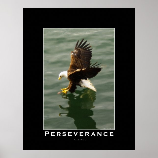 PERSÉVÉRANCE Aigle chauve Poster d'art motivationn (Devant)