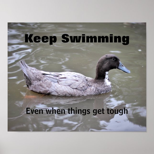 Perseverance Classroom Poster (Vorne)