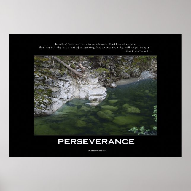 PERSEVERANCE Nature Poster (Vorne)