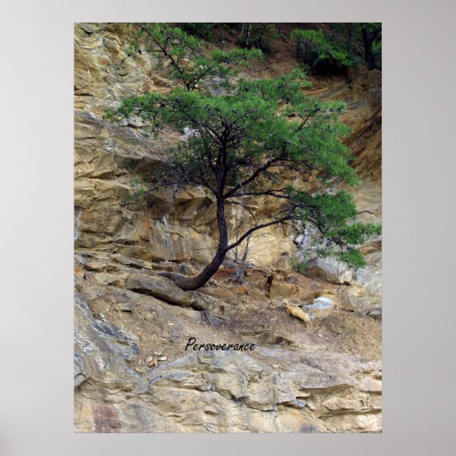 Perseverance Tree Poster (Vorne)
