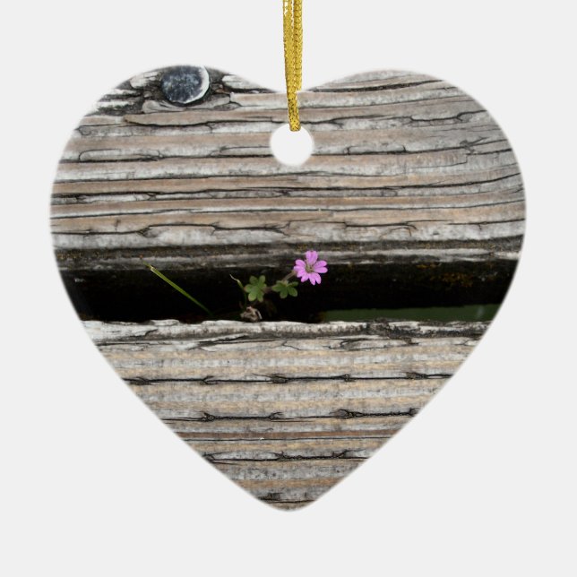 Perseverence Keramikornament (Vorne)