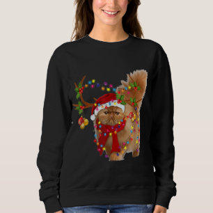 Persian Cat Gorgeous Rentier Christmas Tree Light Sweatshirt