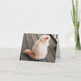 Persian Cat Note Card Karte