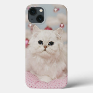 Persian cat sitting on pink pillow title_seo2