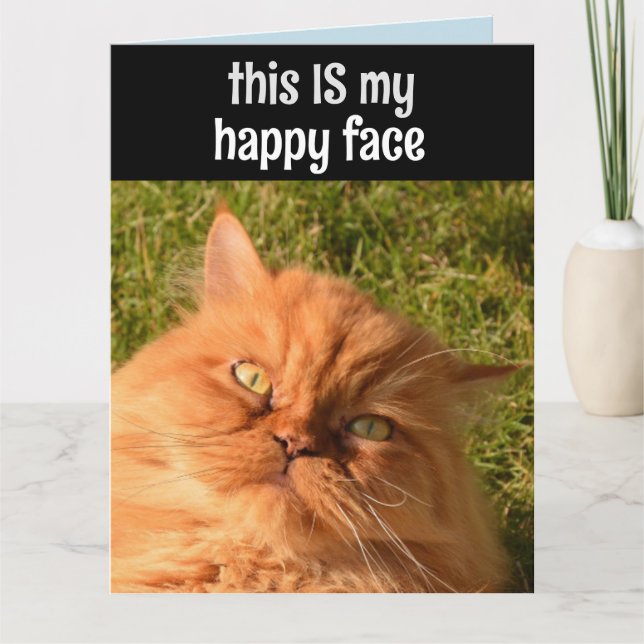 PERSIAN GINGER CAT FUNNY GAPPY FACE BIRTHDAY CARD KARTE (Vorderseite)