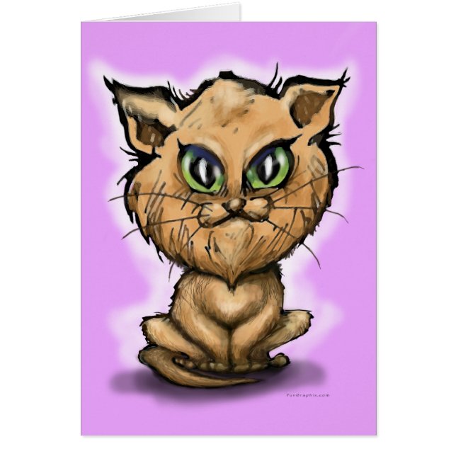 Persian Kitten (Vorne)