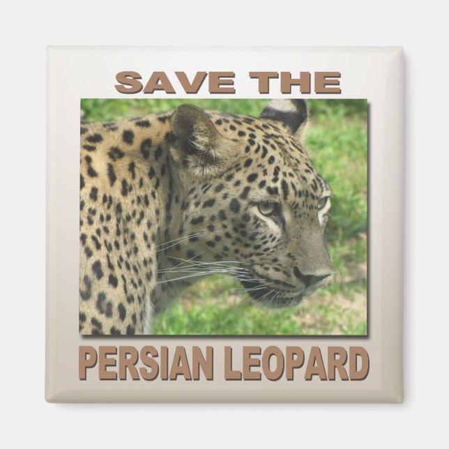 Persian Leopard Magnet (Vorne)