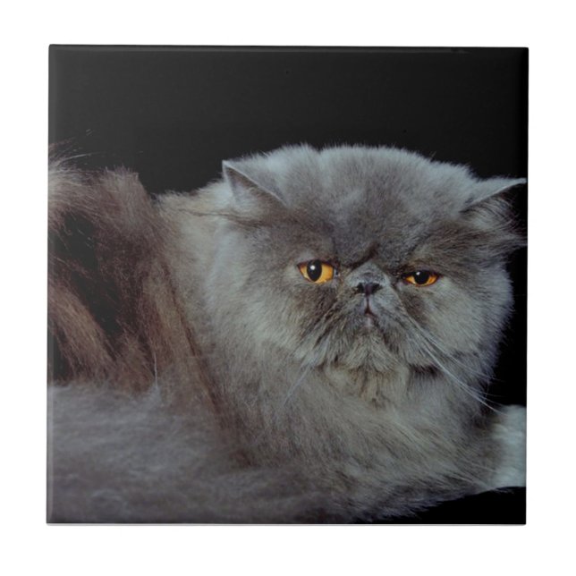 Persiblau Fliese (Vorderseite)