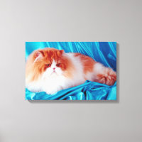 Persikatze