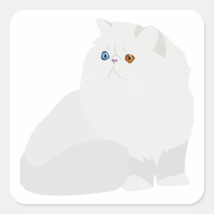 Persikatze Quadratischer Aufkleber