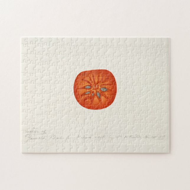 Persimmon (Diospyros) Fruchtfarben (Horizontal)