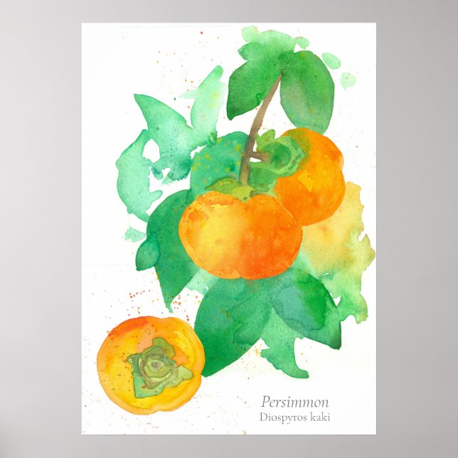 Persimmon Frucht Botanische Wasserfarbe Poster (Vorne)
