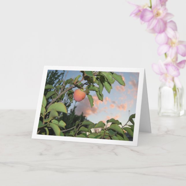Persimmon in Tree, Pink Sky Portrait Karte (Orchidee)