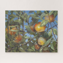Persimmon Obstbaum Schönes Original Kunstwerk