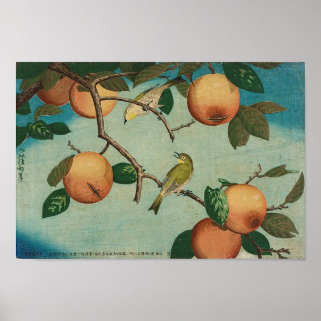Persimmons and White-Eyes 1880 Japanischer Druck Poster (Vorne)