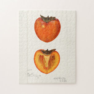 Persimmons Fruchtfarbenmalerei