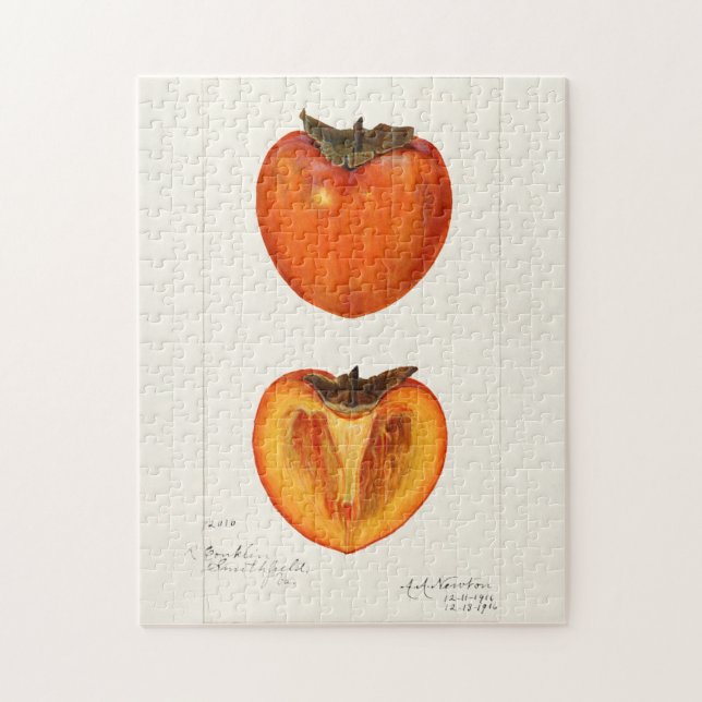 Persimmons Fruchtfarbenmalerei (Vertikal)