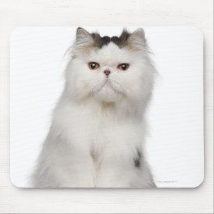 Persisch (10 Monate alt) Sitzung Mousepad