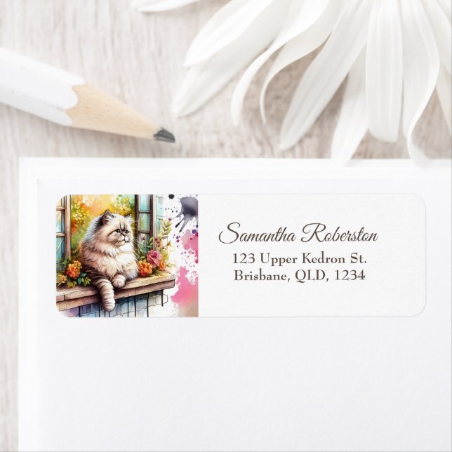 Persisch Beige graue Katze im Sommer als Blumenkol (Insitu)