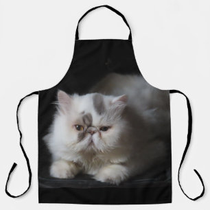 persisch, niedlich, katze, tierisch, abgeschieden, schürze