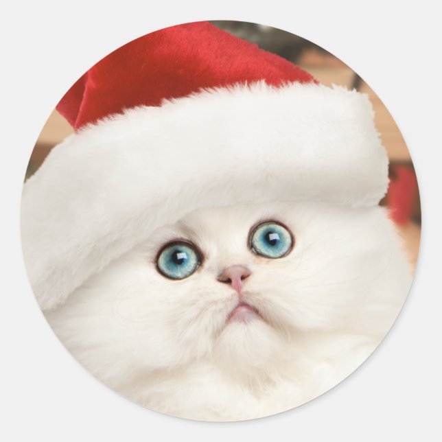 Persische Kätzchen-Weihnachtsaufkleber Runder Aufkleber (Vorderseite)