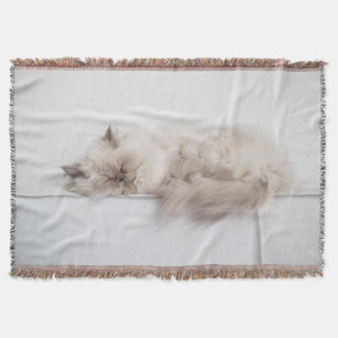 Persische Katze Decke