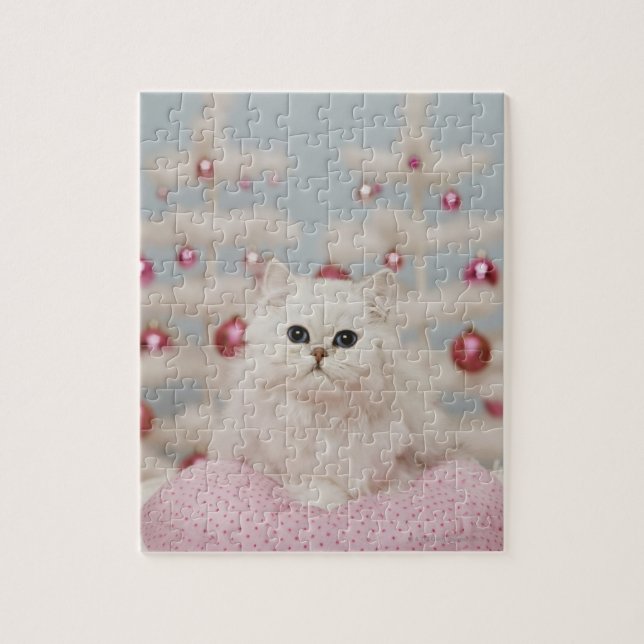 Persische Katze, die auf rosa Kissen sitzt (Vertikal)