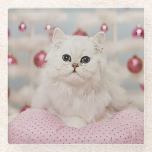 Persische Katze, die auf rosa Kissen sitzt Glasuntersetzer (Vorderseite)