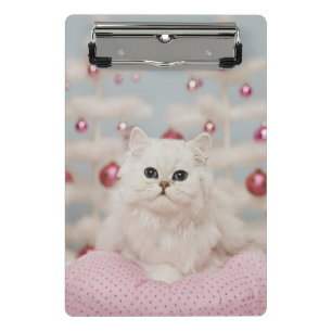 Persische Katze, die auf rosa Kissen sitzt Mini Klemmbrett