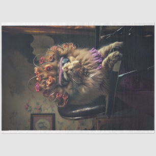 Persische Katze im Feline Beauty Shop Seidenpapier