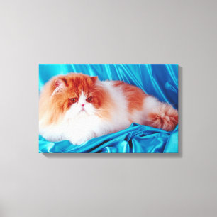 Persische Katze Leinwanddruck