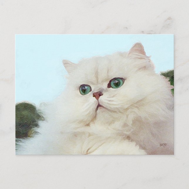 Persische Katze mit Jade Eyes Postkarte (Vorderseite)