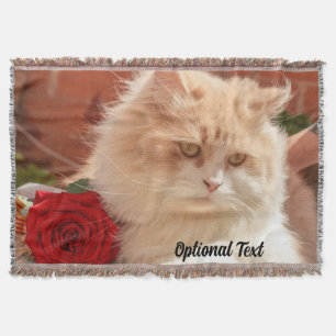 Persische Katze mit Rote Rose Decke