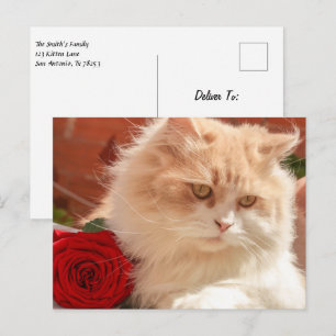 Persische Katze mit Rote Rose Postkarte