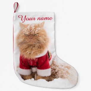 Persische Katze mit Weihnachtsausstattung im Kleiner Weihnachtsstrumpf