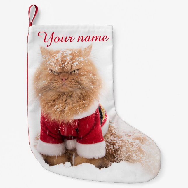 Persische Katze mit Weihnachtsoutfit im Schnee Kleiner Weihnachtsstrumpf (Vorderseite)
