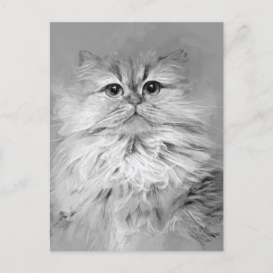 Persische Katze Postkarte Nr.25