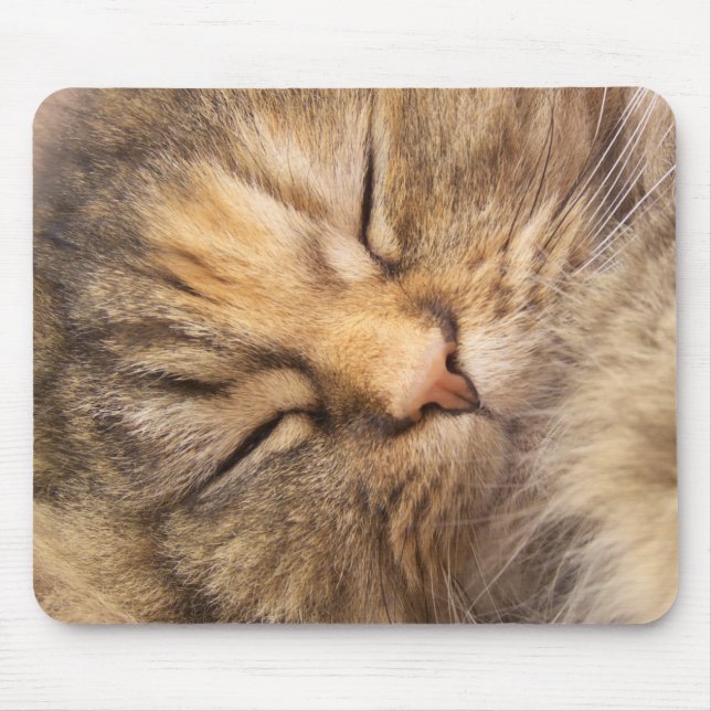 Persische Katze schlafend Mousepad (Vorne)