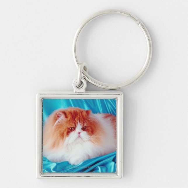 Persische Katze Schlüsselanhänger (Vorne)